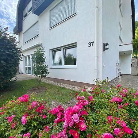 Neu: Ferienwohnung Zum Nussbaum - Landhausstil & Moseltalblick Трабен-Трарбах Экстерьер фото